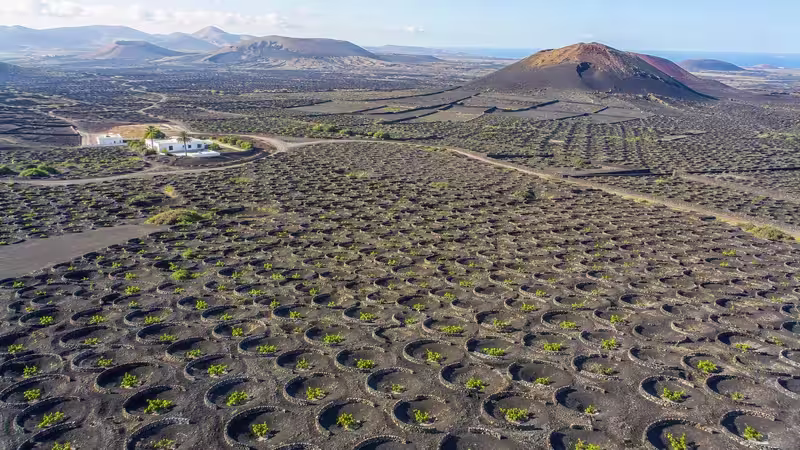 Aerial view of La Geria vineyards in Lanzarote, where hundreds of circular volcanic planting pits and semicircular stone windbreaks create a striking geometric pattern across the island's black lava fields.