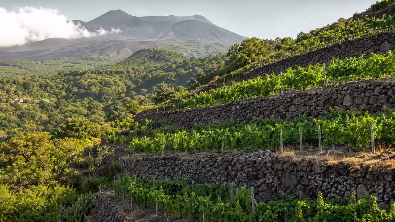 Historic lava-stone terraces supporting vineyards on the slopes of Mount Etna, with dry-stone walls, rows of grapevines, and the volcano in the background under warm afternoon light.