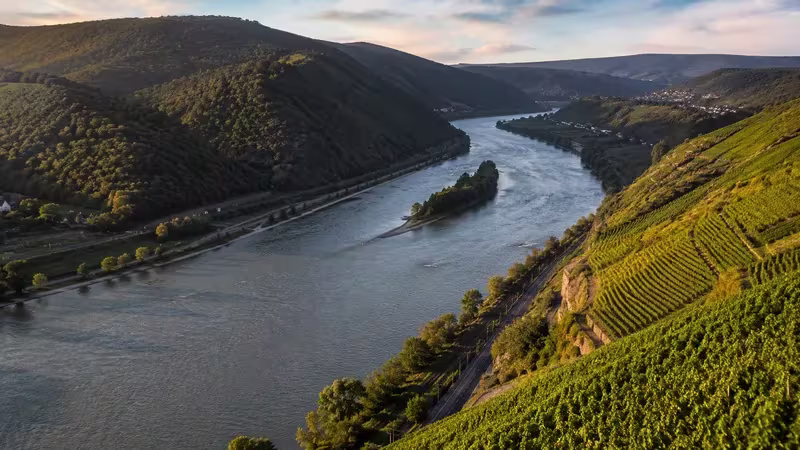 Scenic view of the Rhine River winding through steep vineyard-covered hills with a small island and terraced slopes under soft evening light.
