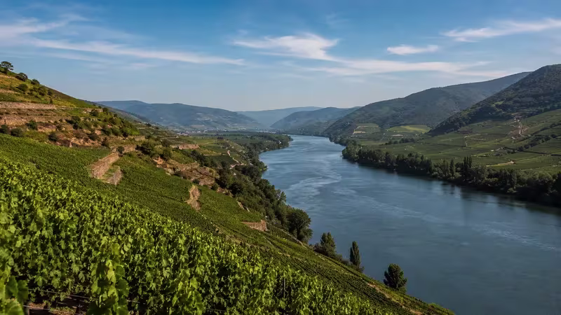 Scenic view of the Rhône River flowing through vineyard-covered hills and terraced slopes beneath a clear blue sky.
