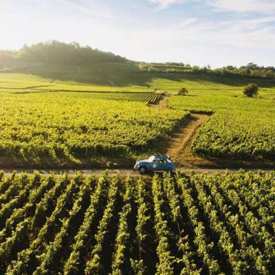 Driving a Classic 2CV vintage car in the vineyards on Burgundy grands crus road trip