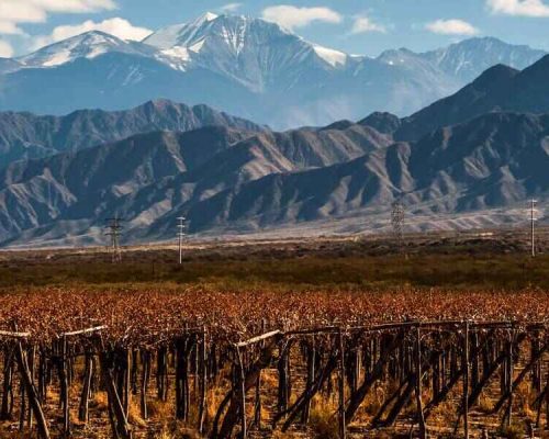 Mendoza wine region, with Andes mountain background. Argentina