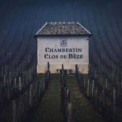 Vineyards of Chambertin clos de Beze, route des grands crus of Burgundy